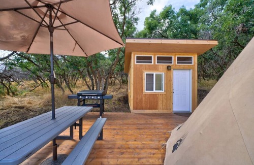 Mount Pleasant RV Rental | Bear Paw Den · Glamping Teepee w/King Bed sleeps 4 w/private pond