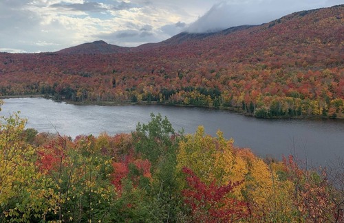 Orford Cabin | Beau Chalet Jumelé à Orford