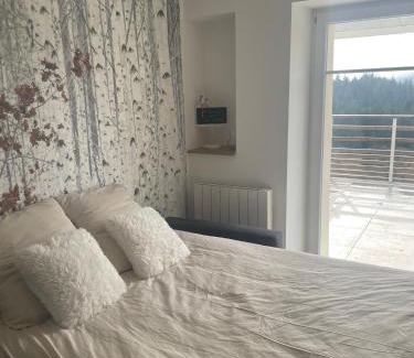 Orbey Apartment | Beau duplex vue sur le Lac Blanc