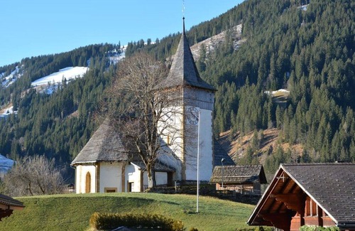 Lauenen Apartment | Beautiful apartment for 7 people with WIFI, TV, balcony and pets allowed