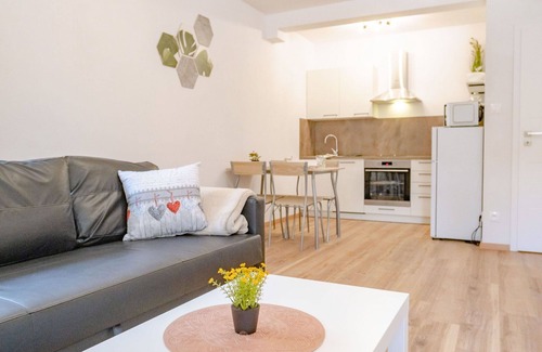 Jachymov Apartment | Beautiful apartment for 5 guests with WIFI, TV, terrace and pets allowed