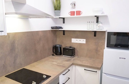 Jachymov Apartment | Beautiful apartment for 5 guests with WIFI, TV, terrace and pets allowed