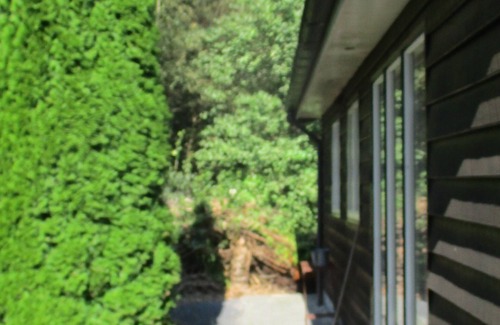 Marum Ski Chalet | Beautiful chalet for rent against forest edge, border Friesland/Groningen/Drenthe.