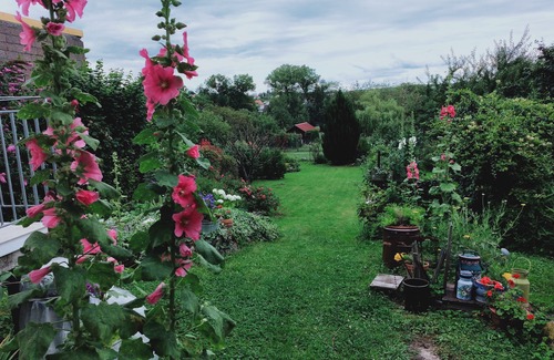 Bining House | Beautiful Gîte 3 épis - 5 people