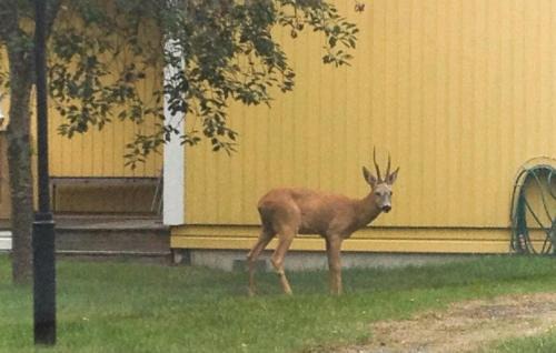 Laggarsvik House | Beautiful Home In Ljusterö With Kitchen