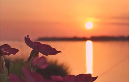 Carrozziere House | Beautiful Home In Siracusa With Kitchen