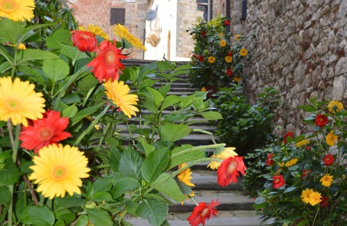 Marciano della Chiana House | Beautiful mansion on medieval village - excellent value for money