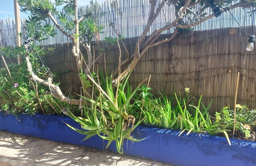 Blancarde Apartment | Beautiful, quiet, bright artist's apartment. South-facing terrace, air conditioning.