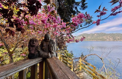 Pender Island Apartment | Beautiful, quiet place to stay with lovely beach access and stunning views
