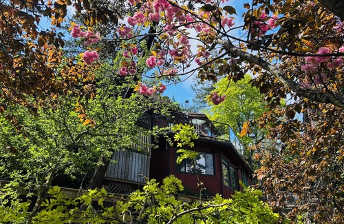 Pender Island Apartment | Beautiful, quiet place to stay with lovely beach access and stunning views