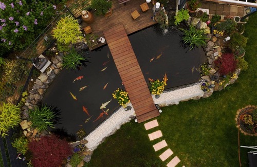 Asterstein Apartment | Beautiful, spacious basement with Japanese garden -Parking spot