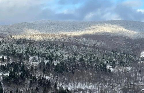 Mont-Tremblant Apartment | Beautiful suite with superb mountain view.