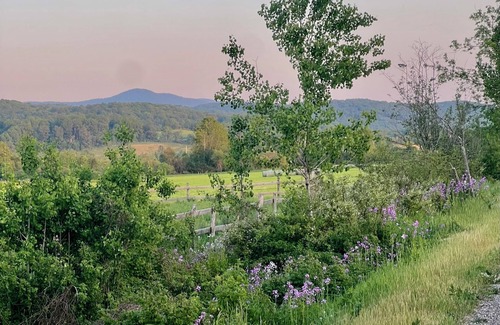West Pawlet Apartment | Beautiful, sunny retreat high over river and rail trail