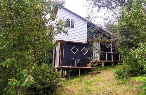 Ancud Cabin | Beautiful tiny house, in the middle of the forest.