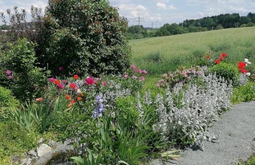 Naila Apartment | Beautiful vacation apartment for up to 4 people.