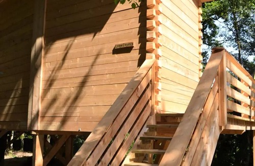 Salles-en-Toulon House | Beauty Park - Comfortable Elegance Lodge 4/6 people