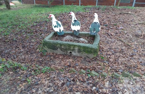 Casalborgone Bed & Breakfast | Bed and Breakfast di Nonna Piera