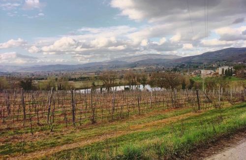 Arezzo Apartment | Bed And Breakfast Loriana