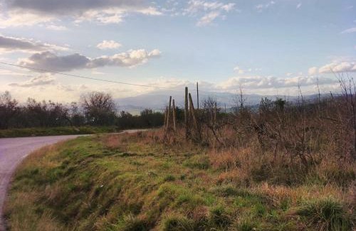 Arezzo Apartment | Bed And Breakfast Loriana