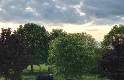 Meauce House | Bed and Breakfast "Louise"