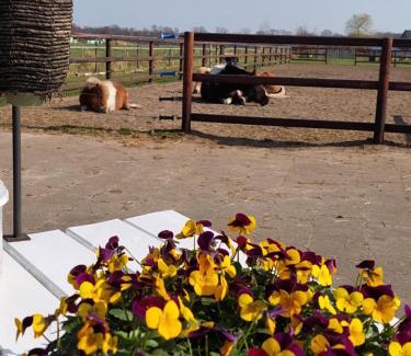 Berlicum Bed & Breakfast | Bed & breakfast Achter ons huis