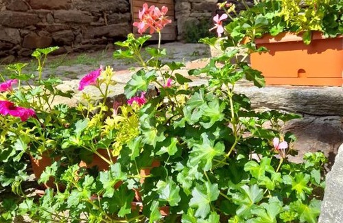 Perloz Bed & Breakfast | Bed & Breakfast La Crotta