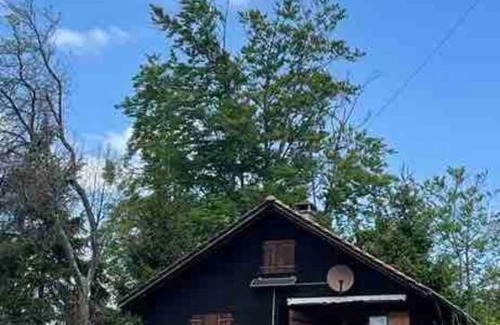 Netstal Apartment | Behagliches Chalet mit Kaminofen umgeben von Natur