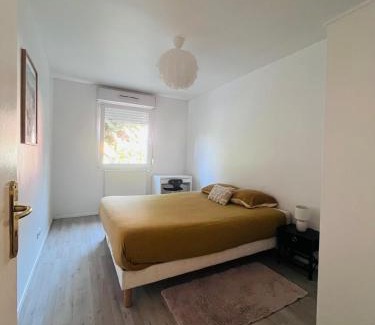 Grigy-Technopole - La Grange-aux-Bois Apartment | Bel appartment privé 5 min from Metz