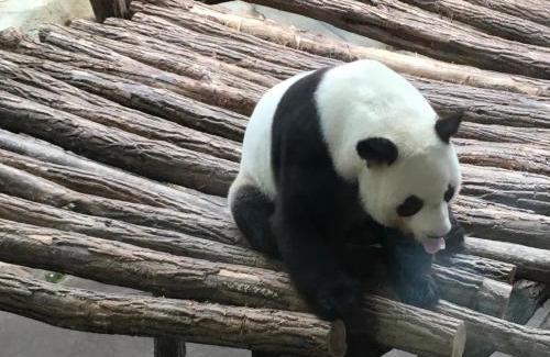 Pruniers-en-Sologne Bed & Breakfast | BELEM