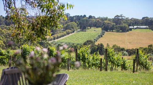 Shoreham House | Bellas Block