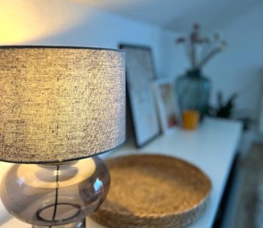 Bad Bellingen Apartment | Bellevue