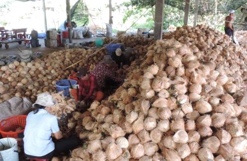 Ben Tre House | Ben Tre Farm Stay