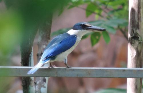 Ben Tre House | Ben Tre Farm Stay