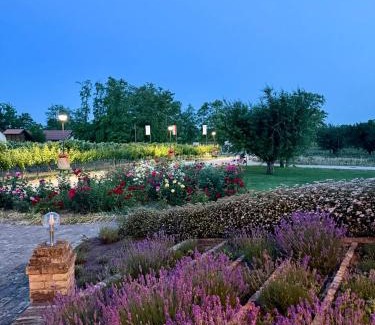 Cegled House | BÉNI family wine farm