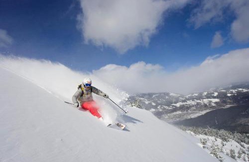Mariapfarr Ski Chalet | Bergchalet am Tonimörtlhof