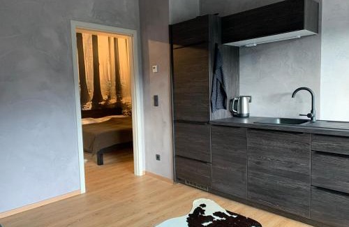 Hinterstoder Ski Chalet | Bergchalet Hinterstoder