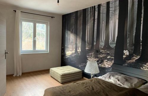 Hinterstoder Ski Chalet | Bergchalet Hinterstoder