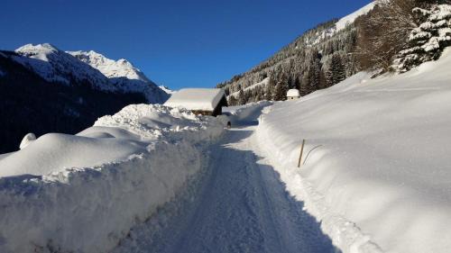 Nesselwaengle House | Bergfee Natur Appartements
