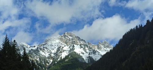 Nesselwaengle House | Bergfee Natur Appartements