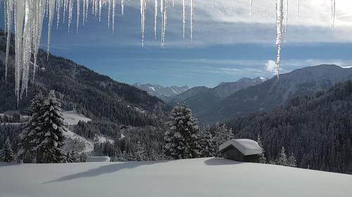 Nesselwaengle House | Bergfee Natur Appartements