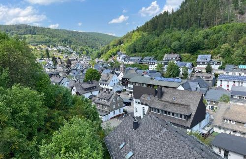 Ortsmitte Apartment | Bergpanorama - Suite Willingen