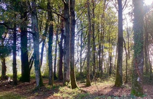 Malicornay Cabin | Berry Séjours