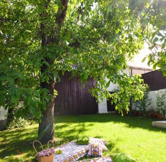 Mugeni House | Berta Guesthouse