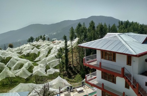 Theog Bed & Breakfast | Best suitable place for relaxing and rejuvenate.