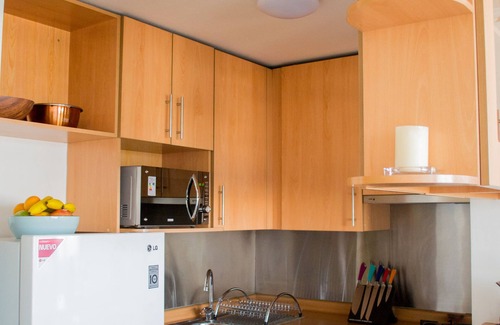 Santiago Apartment | Best view to the Andes