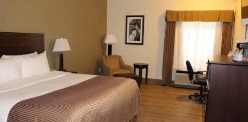 Edson Hotel | Best Western High Road Inn