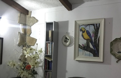 Penela Cottage | Between heaven and earth!