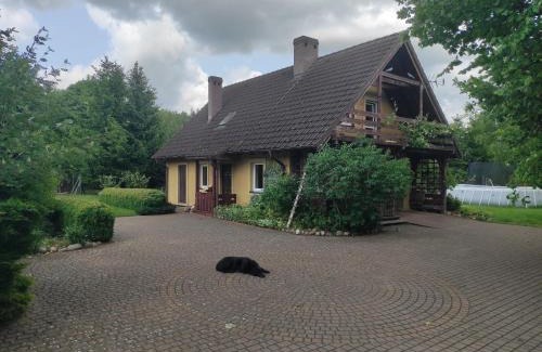 Kamien Pomorski House | Biały Dzik Uszyszek