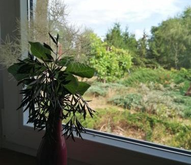 Kamien Pomorski House | Biały Dzik Uszyszek