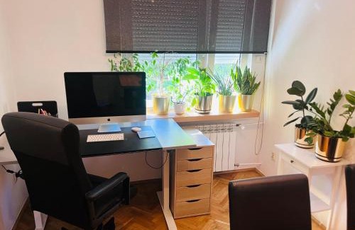 Krakow Apartment | Biały Lotos